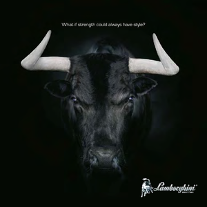 4WD traktorok Lamborghini Nitro 100 DT