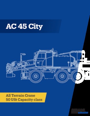 Autódaruk Terex-Demag AC 45 City