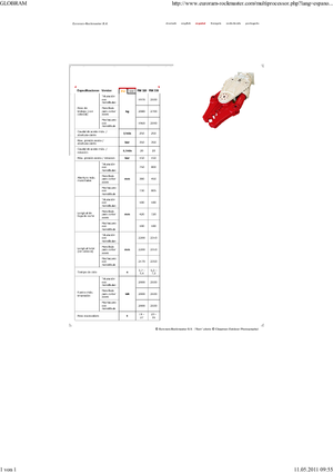 Multiprocesszorok Globram RM330