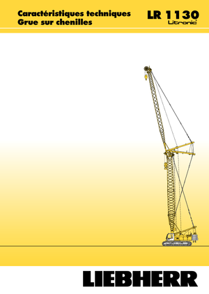 Lánctalpas daruk - rácsos gém Liebherr LR 1110