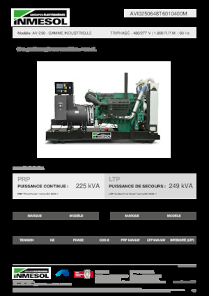 Dízel generátorok INMESOL AV-250