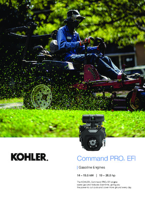 Motorok Rehlko ECH749