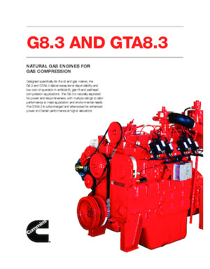 Motorok Cummins G8.3