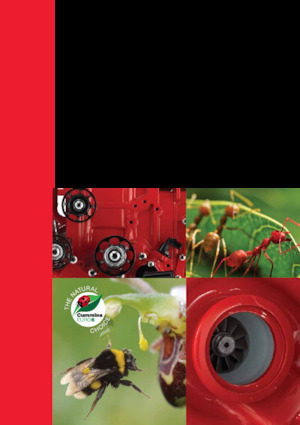 Motorok Cummins ISB4.5