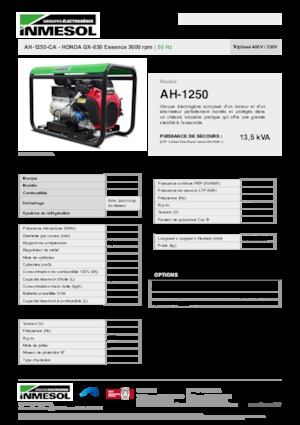 Benzines generátorok INMESOL AH 1250-CA
