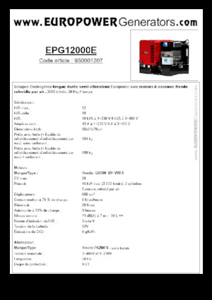 Benzines generátorok Europower EPG12000E (S)