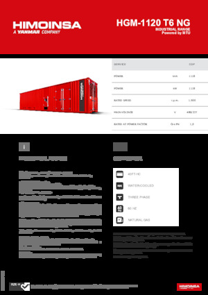 Benzines generátorok HIMOINSA HGM-1120 T6 NG