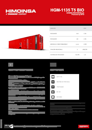 Benzines generátorok HIMOINSA HGM-1135 T5 BIO