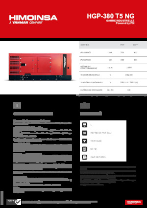 Benzines generátorok HIMOINSA HGP-380 T5 NG