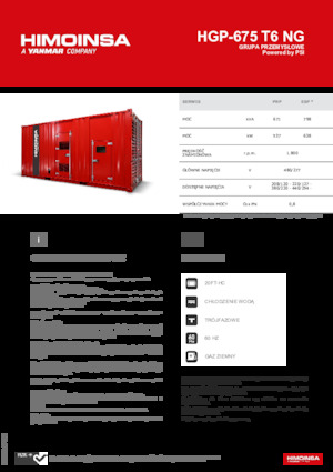 Benzines generátorok HIMOINSA HGP-675 T6 NG