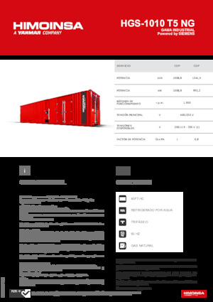Benzines generátorok HIMOINSA HGS-1010 T5 NG