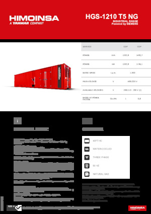 Benzines generátorok HIMOINSA HGS-1210 T5 NG