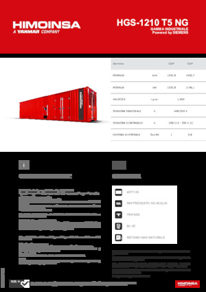 Benzines generátorok HIMOINSA HGS-1210 T5 NG