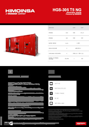 Benzines generátorok HIMOINSA HGS-305 T5 NG