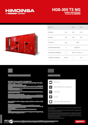 Benzines generátorok HIMOINSA HGS-305 T5 NG