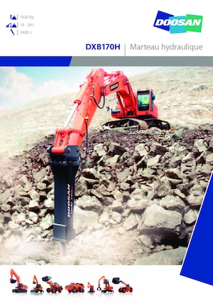 Hidraulikus törők Doosan DXB170H