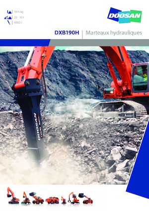 Hidraulikus törők Doosan DXB190H