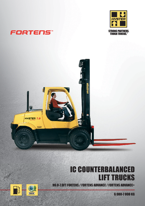 LPG targoncák Hyster H6.0FT