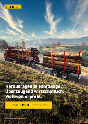 Alacsonypadlós pótkocsik Doll LOGO 14