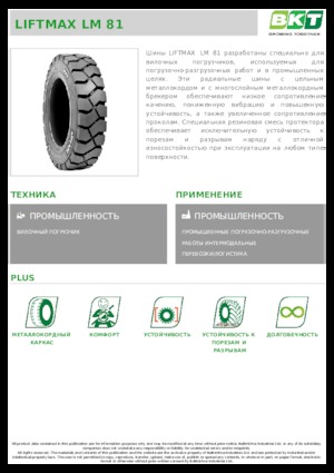 Anyagmozgató gép abroncsok BKT LIFTMAX LM 81 6.00 R 9
