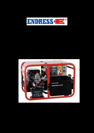 Benzines generátorok Endress ESE 1006 DBS GT ES