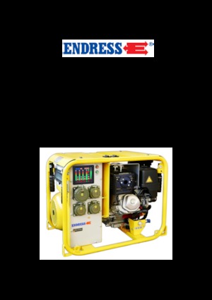 Benzines generátorok Endress ESE 604 DHG ES DIN