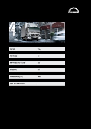 Merevvázak MAN TGL 12.250 4x2