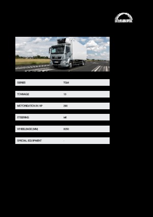 Merevvázak MAN TGM 13.290 4x4