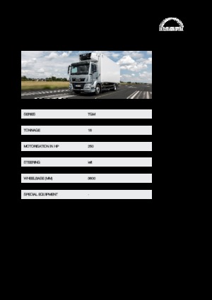 Merevvázak MAN TGM 18.250 4x4