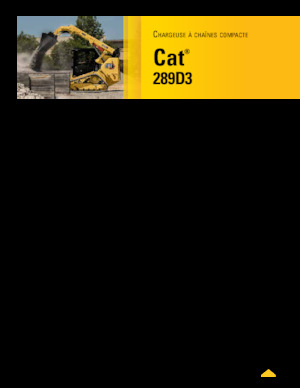 Csúszókormányzású rakodók Caterpillar 289D Serie 3 Deltalader