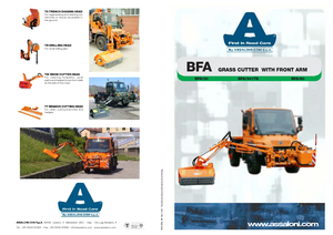 Rézsünyrók Assaloni BFA 30