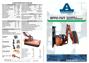 Rézsünyrók Assaloni BFP 2
