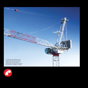 Toronydaruk - billenőgém - felülforgó Raimondi LR273