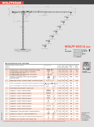Toronydaruk - merevgém - felülforgó Wolffkran 6031.8 clear