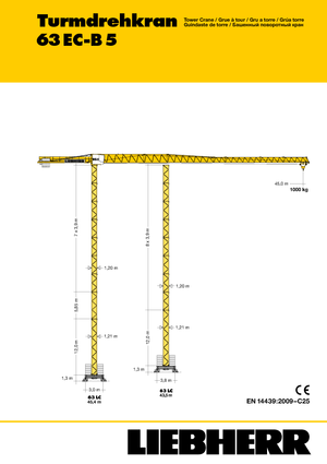 Toronydaruk - merevgém - felülforgó Liebherr 63 EC-B 5