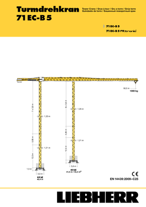 Toronydaruk - merevgém - felülforgó Liebherr 71 EC-B