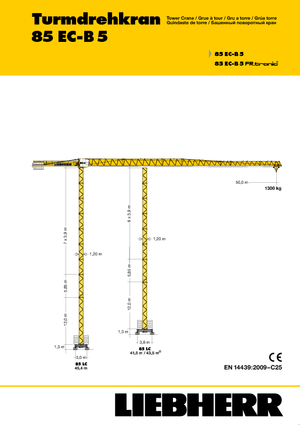 Toronydaruk - merevgém - felülforgó Liebherr 85 EC-B  FR.tronic 