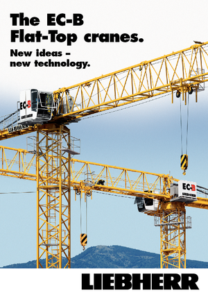 Toronydaruk - merevgém - felülforgó Liebherr 250 EC-B 12 Litronic