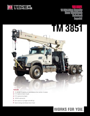 Mobildaruk TEREX CRANES TM 3851