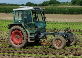 2WD traktorok Fendt F 360 GT