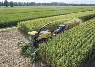 4WD silózók New Holland FR 780
