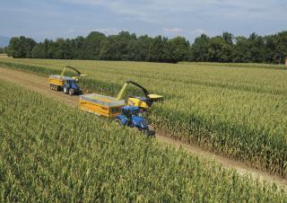 4WD silózók New Holland FR 780