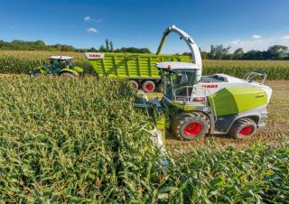 4WD silózók Claas Jaguar 830