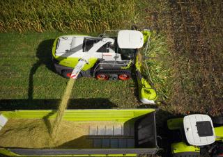 4WD silózók Claas Jaguar 990 Terra Trac