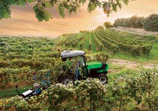 4WD traktorok DEUTZ-FAHR Agroplus F 420