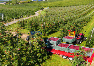 4WD traktorok Valtra F95S