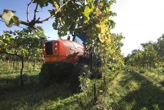 4WD traktorok SAME Frutteto³ S 80 GS DT