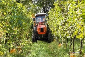 4WD traktorok SAME Frutteto³ S 80 GS DT