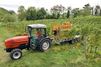 4WD traktorok SAME Frutteto³ S 80 GS DT