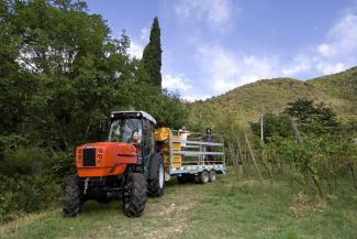 4WD traktorok SAME Frutteto³ S 80 GS DT